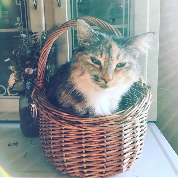 PRICE DROP!! - Picture 3 of 8